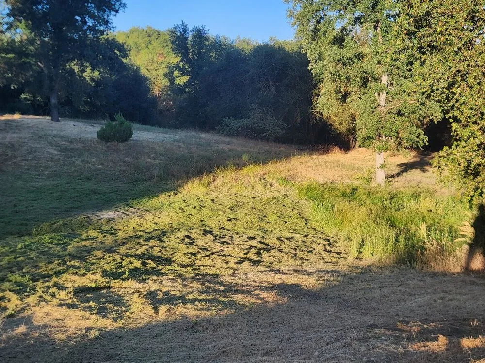 Reliable landscaping services experts serving Coarsegold, CA - The Lawn Rangers