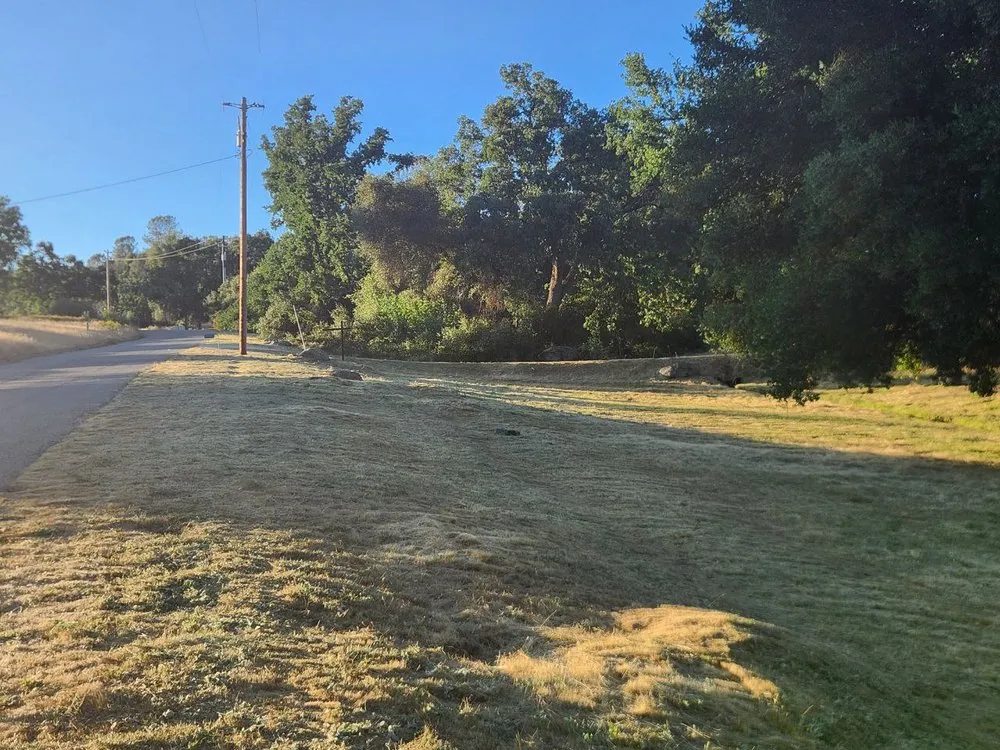 Reliable residential landscaping in Coarsegold, CA - The Lawn Rangers