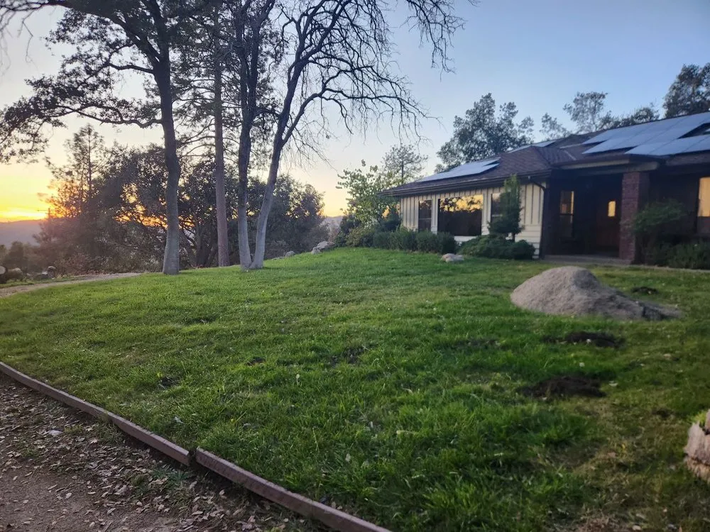 Trusted residential landscaping experts serving Coarsegold, CA - The Lawn Rangers