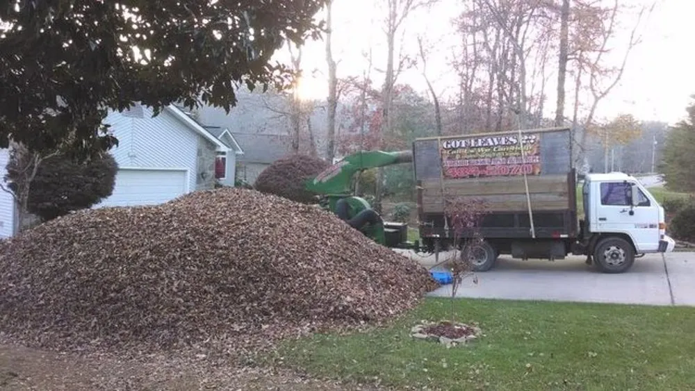 Reliable yard cleanup service for homes across Crossville, TN - The Lawn Rangers