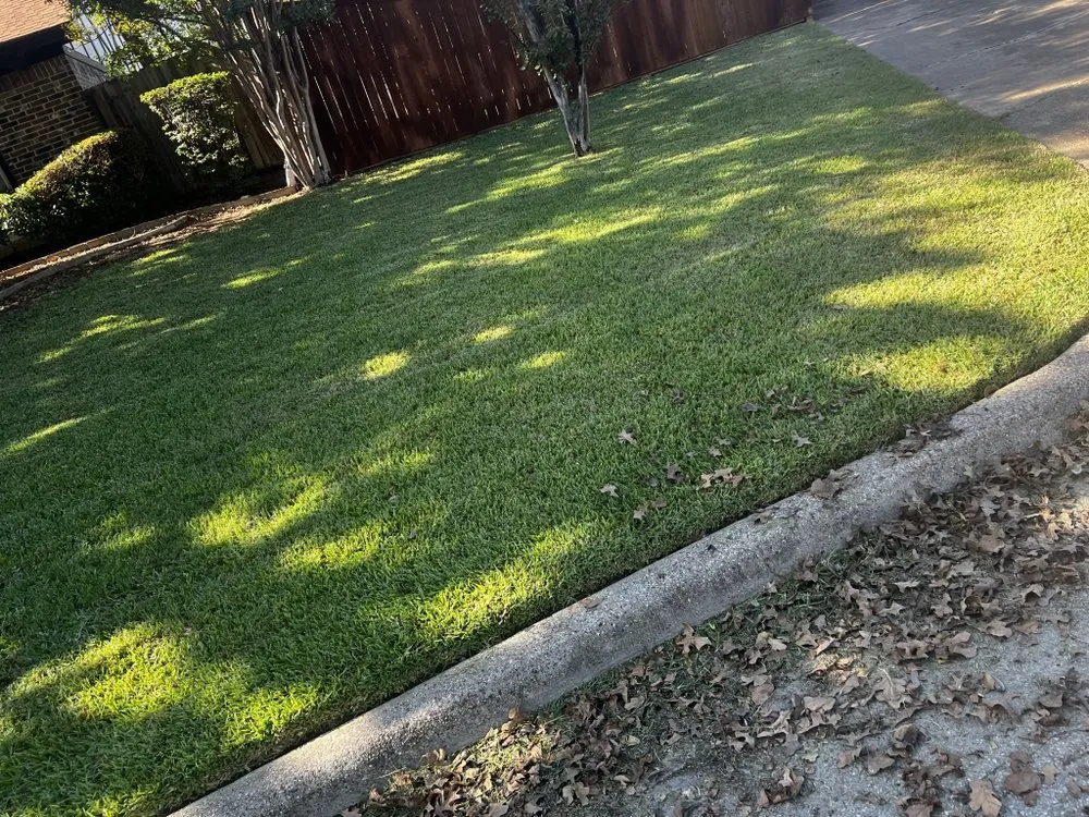 Affordable lawn mowing service experts serving Watauga, TX - The Lawn Rangers