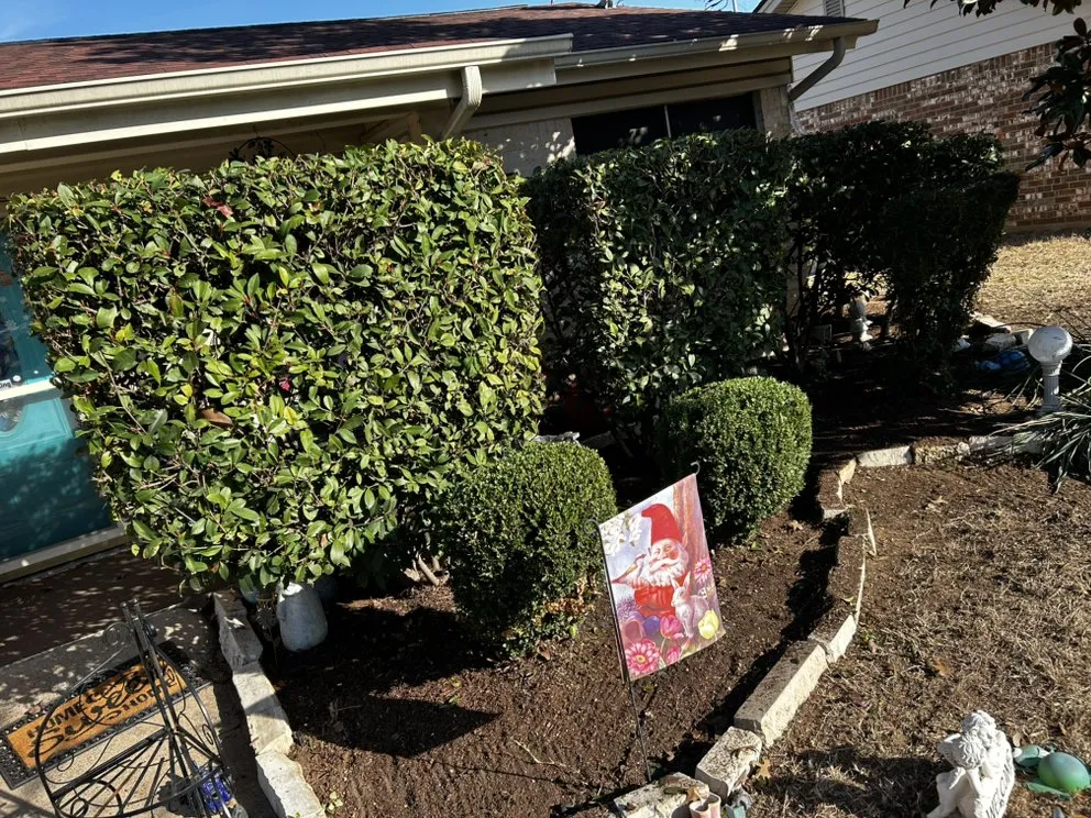 Professional outdoor landscaping experts serving Watauga, TX - The Lawn Rangers