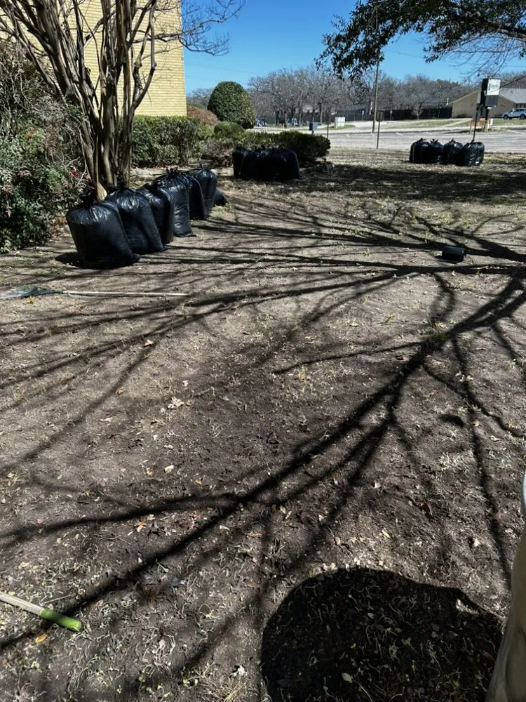 Trusted outdoor landscaping experts serving Watauga, TX - The Lawn Rangers