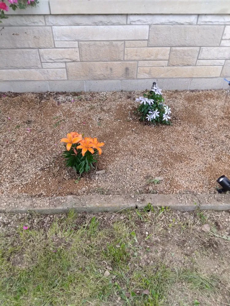 Expert yard maintenance in Lebanon, KY by The Lawn Salon