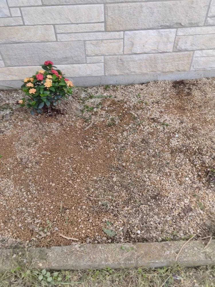 Local residential landscaping with custom design across Lebanon, KY - The Lawn Salon