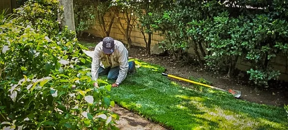 Custom landscaping services in Reno, NV - The Lawn Salon