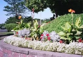 Custom lawn mowing service for beautiful yards in Reno, NV by The Lawn Salon