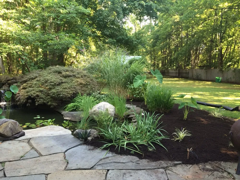 Local yard cleanup service in Somerset, NJ by The Lawn Salon
