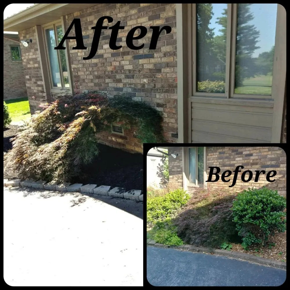 Reliable outdoor landscaping experts serving Springfield, MO - The Lawn Service