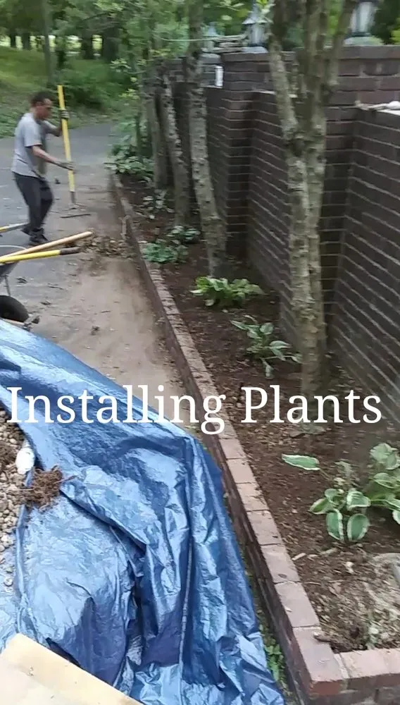 Expert yard maintenance in Springfield, MO by The Lawn Service