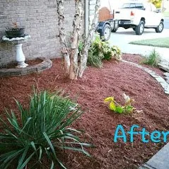 Custom lawn care service for outdoor upgrades across Springfield, MO - The Lawn Service