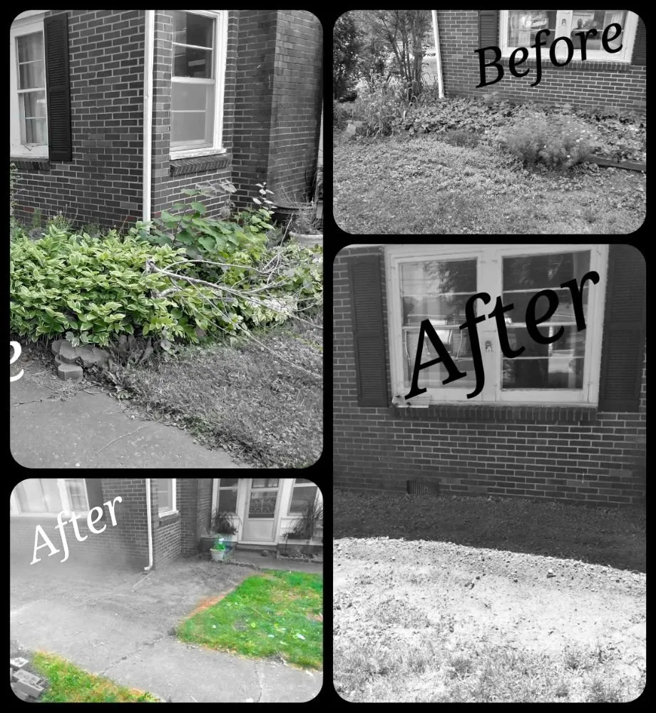 Trusted residential landscaping in Springfield, MO - The Lawn Service