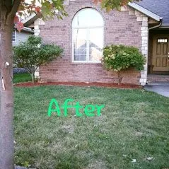 Local residential landscaping in Springfield, MO by The Lawn Service