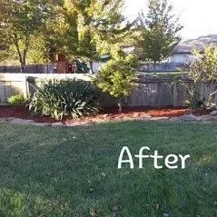 Top-rated landscaping services in Springfield, MO by The Lawn Service