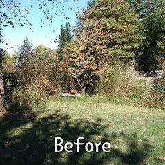 Reliable landscaping services in Springfield, MO - The Lawn Service