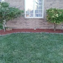 Reliable lawn mowing service experts serving Springfield, MO - The Lawn Service