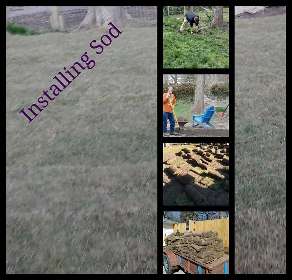 Reliable residential landscaping in Springfield, MO by The Lawn Service
