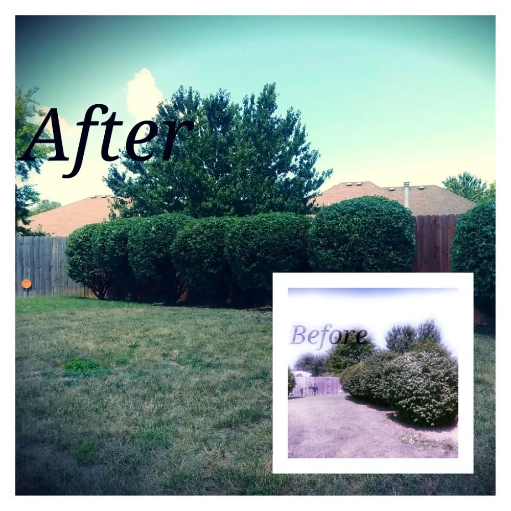 Top-rated lawn mowing service in Springfield, MO - The Lawn Service