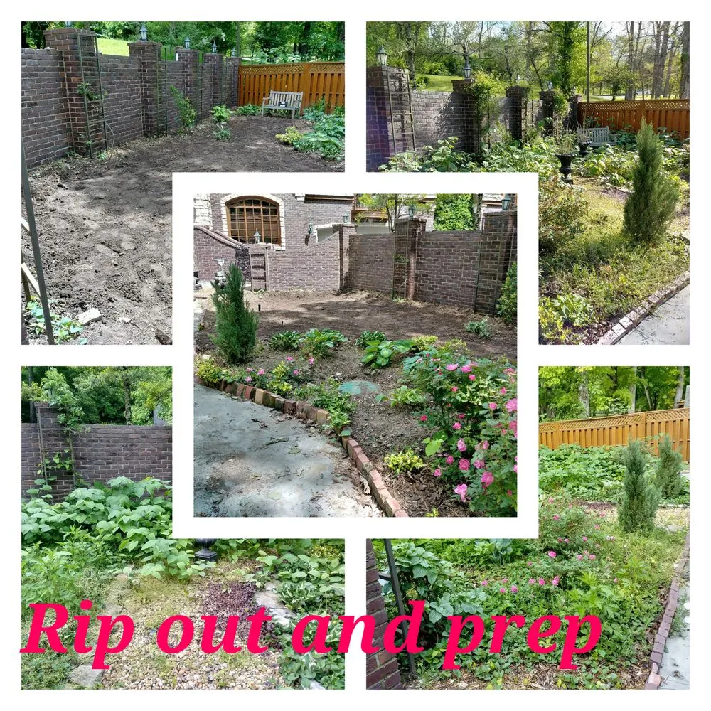 Affordable landscape design experts serving Springfield, MO - The Lawn Service