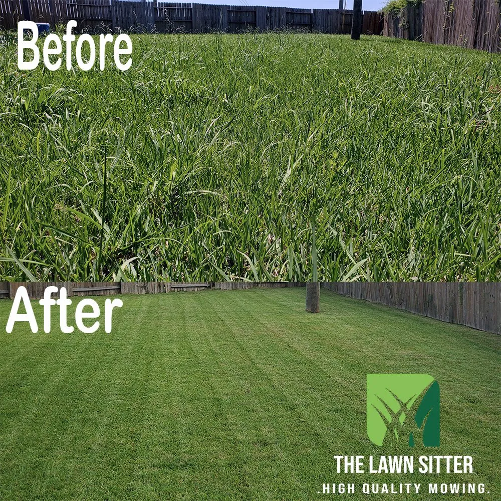 Expert lawn mowing service for beautiful yards across Houston, TX - The Lawn Sitter