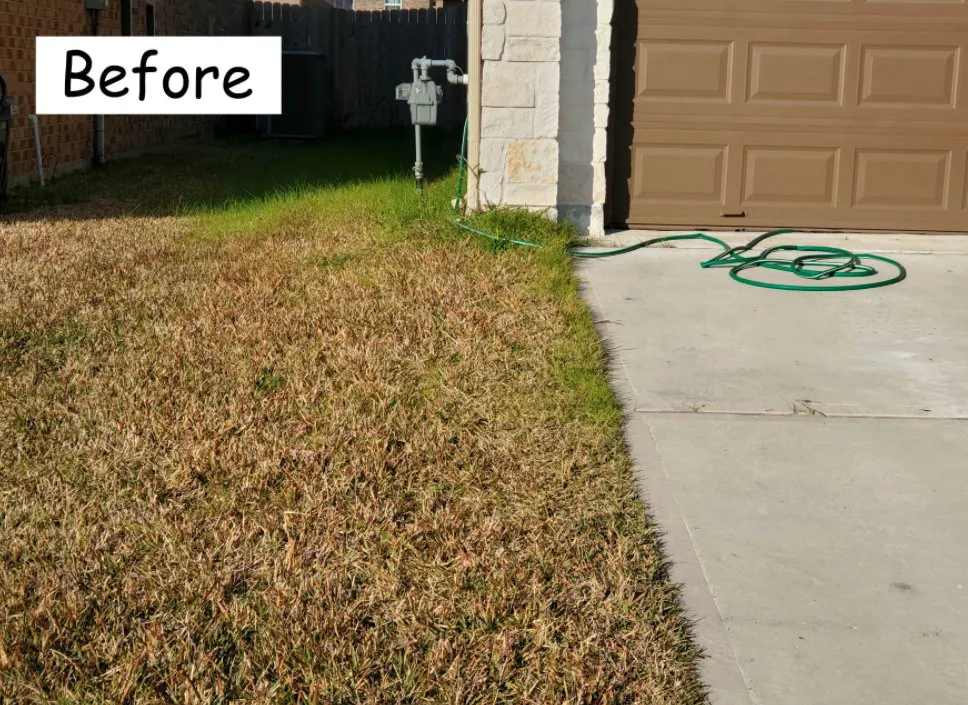 Custom garden landscaping experts serving Houston, TX - The Lawn Sitter