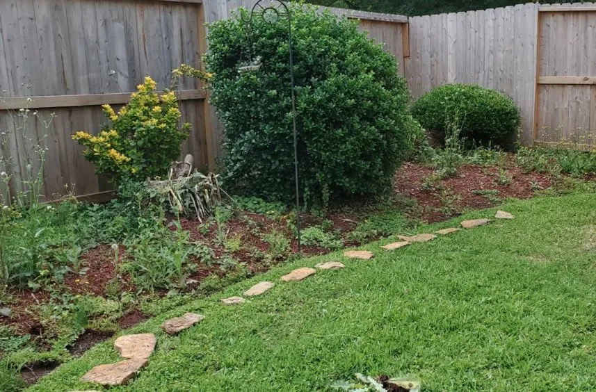 Professional landscaping services in Houston, TX - The Lawn Sitter