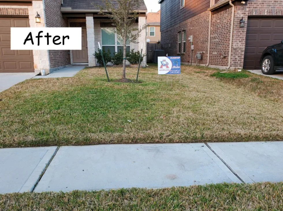 Custom yard cleanup service for outdoor upgrades in Houston, TX by The Lawn Sitter