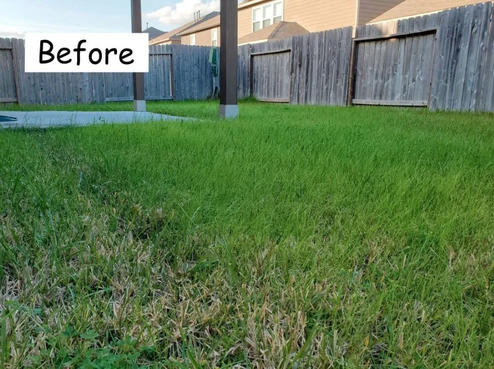 Custom residential landscaping in Houston, TX - The Lawn Sitter