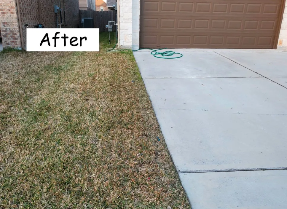 Local outdoor landscaping for beautiful yards in Houston, TX by The Lawn Sitter