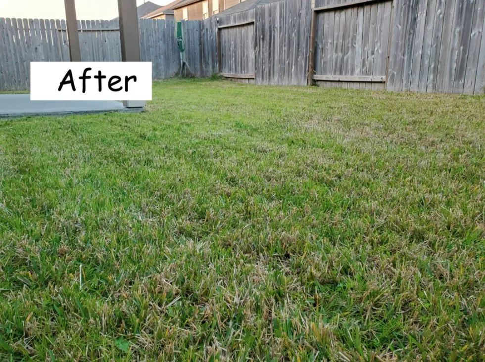Trusted landscape design for beautiful yards across Houston, TX - The Lawn Sitter