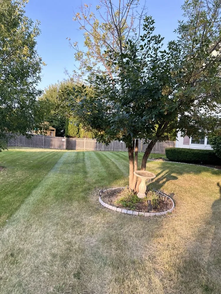 Reliable landscape design in Yorkville, IL - The Lawn Slayers