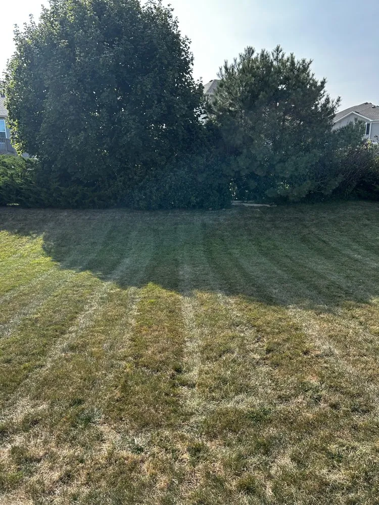 Trusted landscaping services with custom design in Yorkville, IL by The Lawn Slayers