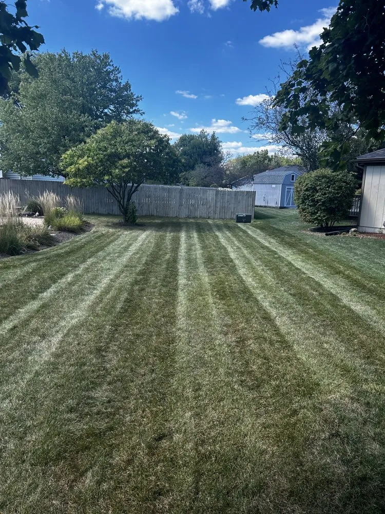 Trusted yard cleanup service in Yorkville, IL - The Lawn Slayers