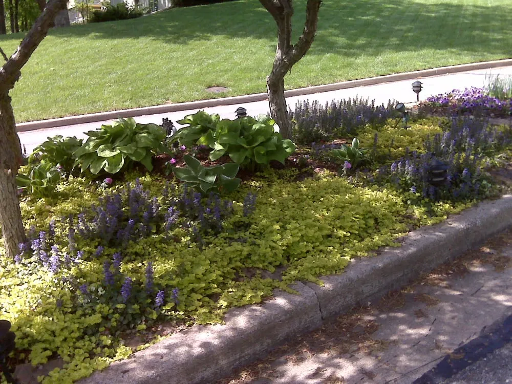 Top-rated yard maintenance experts serving Joplin, MO - The Lawn Specialist