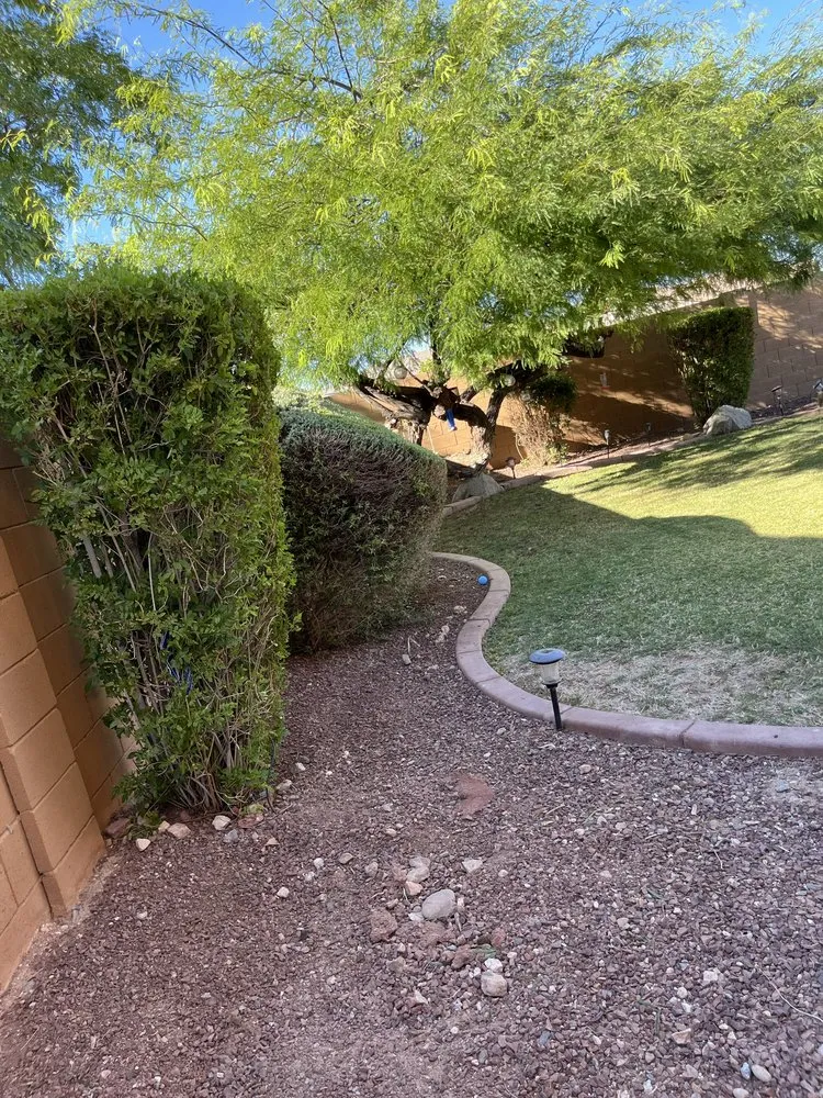 Custom landscape design experts serving Glendale, AZ - The Lawn Squad
