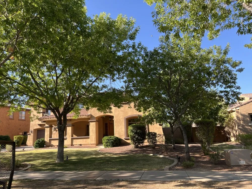 Custom landscaping services for beautiful yards across Glendale, AZ - The Lawn Squad