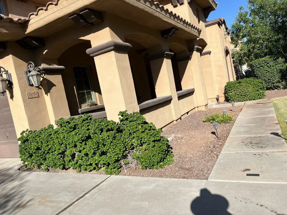 Reliable landscape design experts serving Glendale, AZ - The Lawn Squad