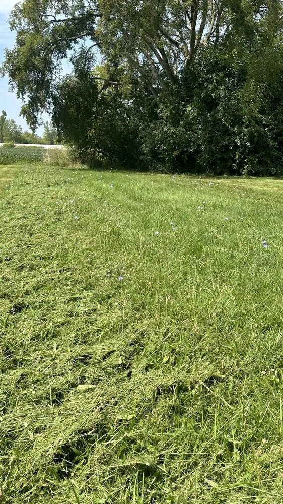 Top-rated lawn mowing service in Saginaw, MI by The Lawn Squad