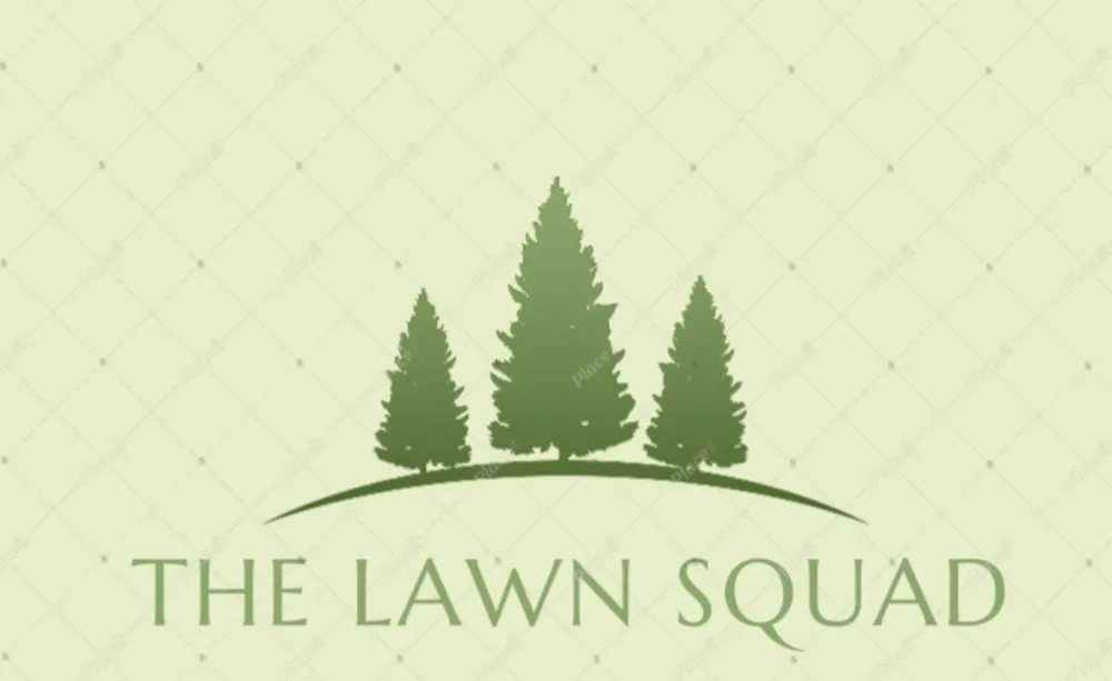 Top-rated lawn care service for year-round maintenance across Saginaw, MI - The Lawn Squad