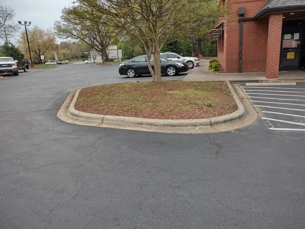 Custom yard cleanup service experts serving Charlotte, NC - The Lawn Stylist