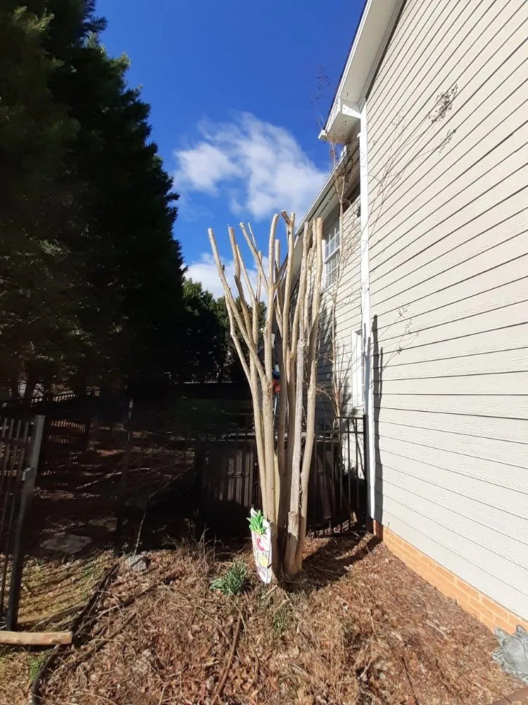 Local lawn care service for year-round maintenance across Charlotte, NC - The Lawn Stylist