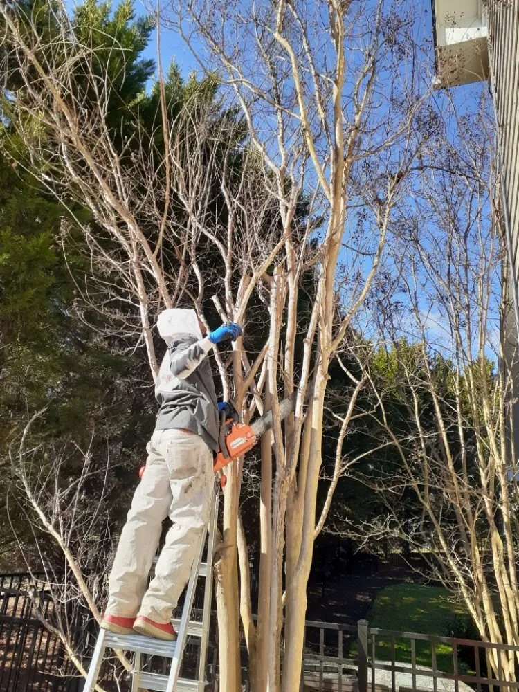 Affordable residential landscaping near you in Charlotte, NC by The Lawn Stylist