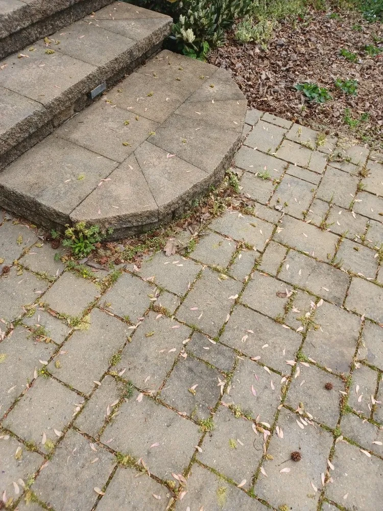 Custom yard maintenance for outdoor upgrades across Charlotte, NC - The Lawn Stylist