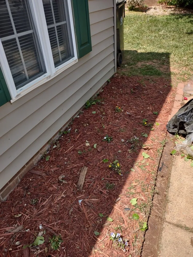 Reliable landscape design in Charlotte, NC - The Lawn Stylist