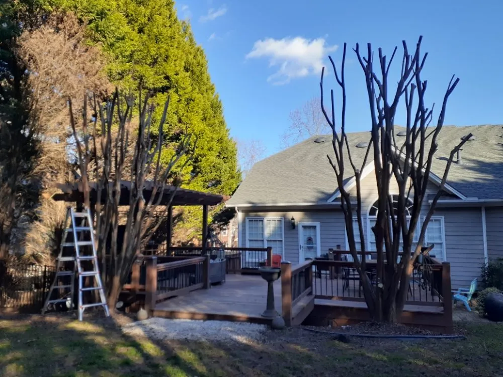 Custom landscape installation in Charlotte, NC - The Lawn Stylist