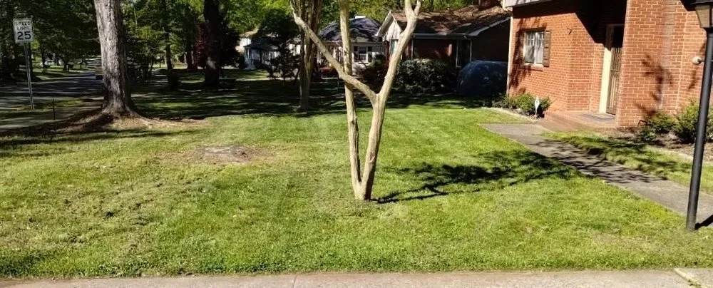 Reliable lawn mowing service for year-round maintenance across Charlotte, NC - The Lawn Stylist