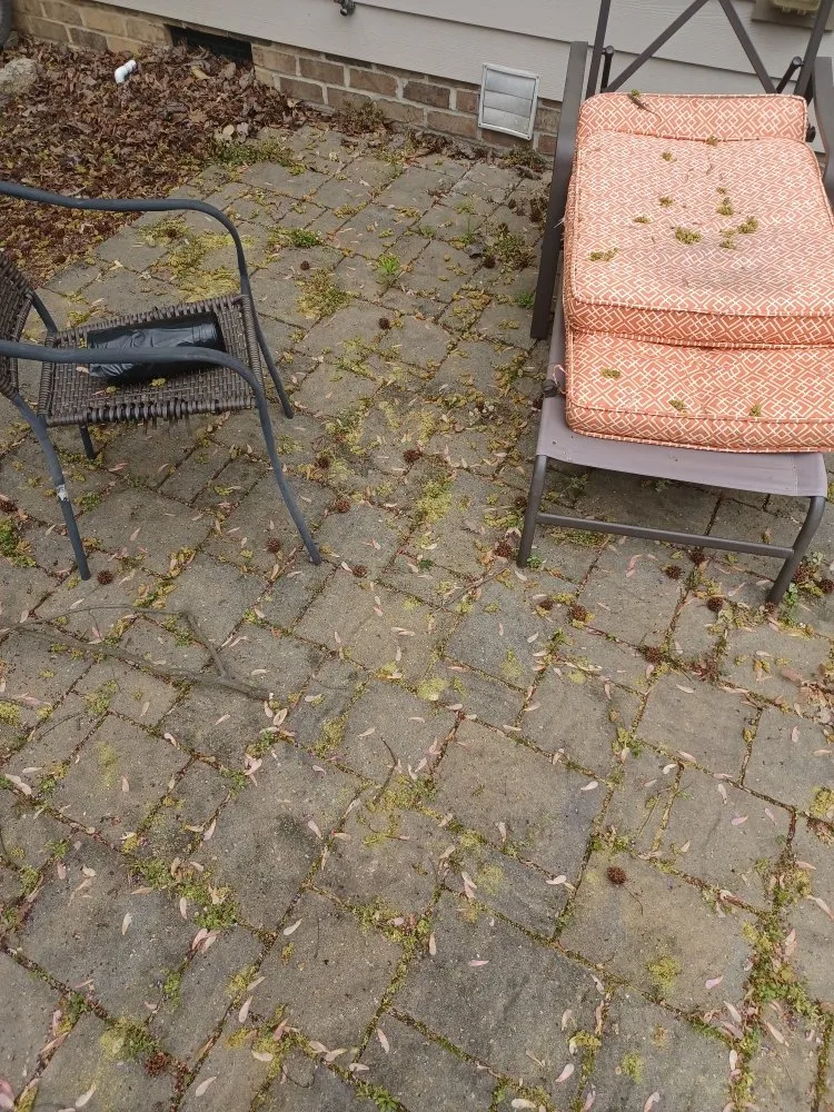 Local lawn care service in Charlotte, NC by The Lawn Stylist