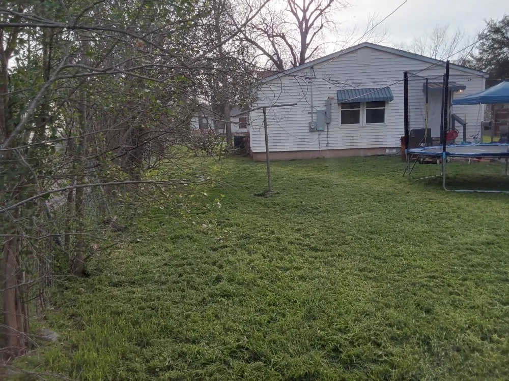 Reliable landscaping services for year-round maintenance in Killeen, TX by The Lawn Warrior