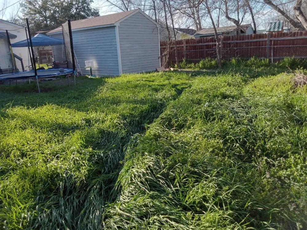 Top-rated lawn care service in Killeen, TX - The Lawn Warrior