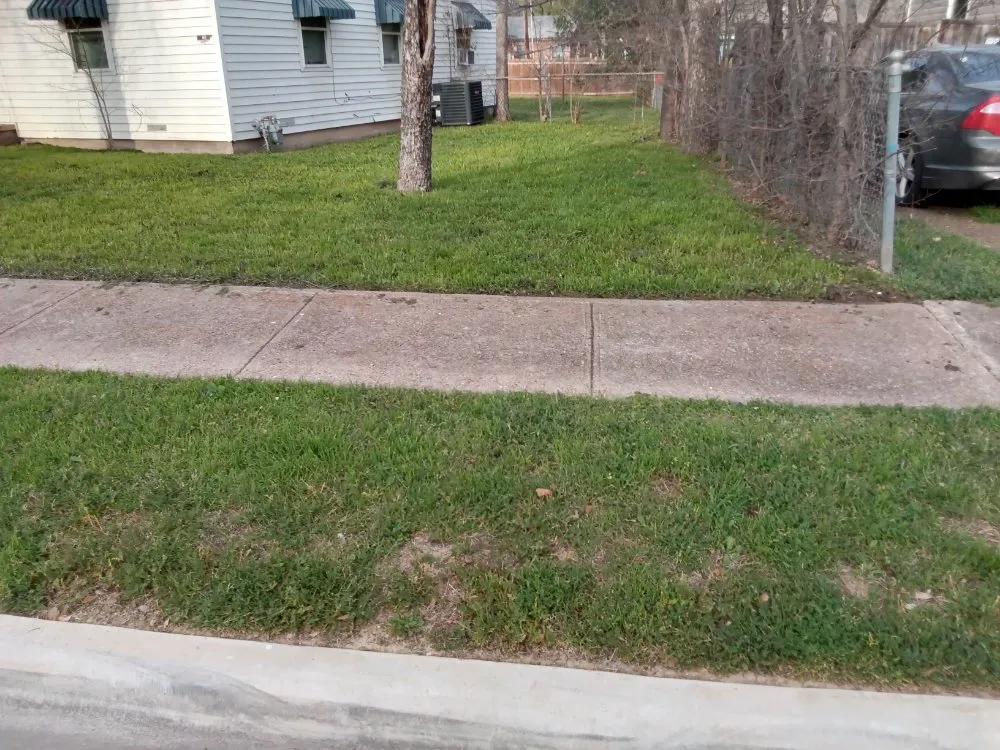 Affordable landscape installation experts serving Killeen, TX - The Lawn Warrior